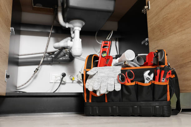 Best Toilet Repair Services  in Triana, AL