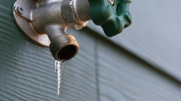 Best Water Leak Repair  in Triana, AL